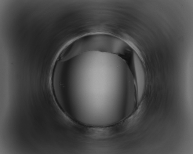 X0000095671197200801081202