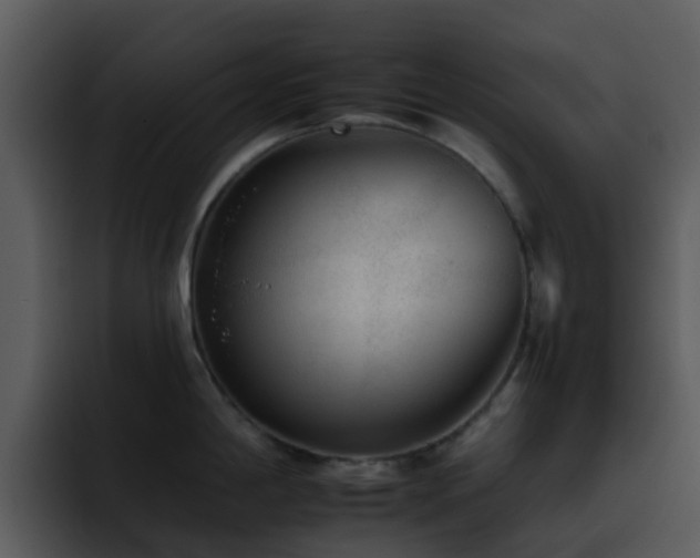 X0000095671198200801081202