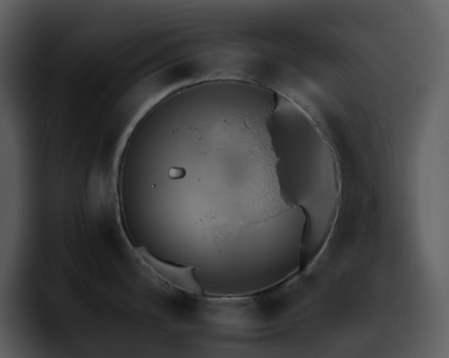 X0000095671200200801081202