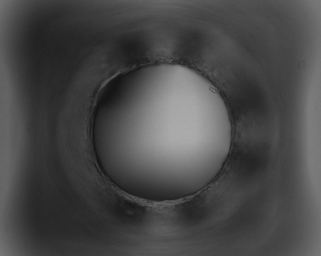 X0000095671201200801081202