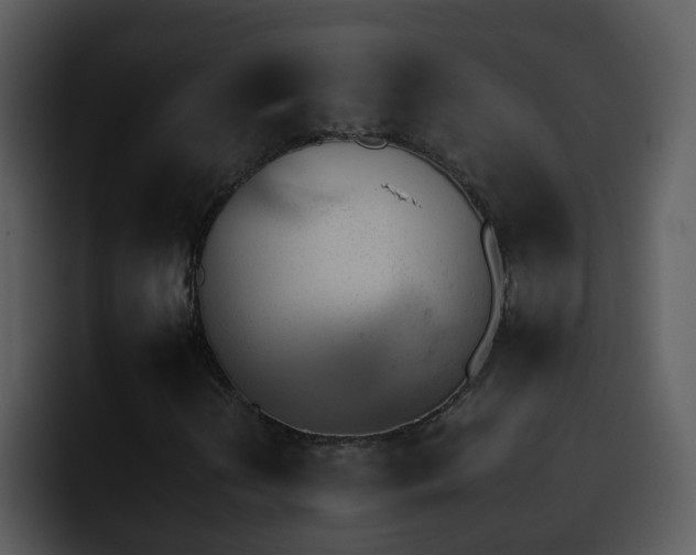 X0000095671202200801081202
