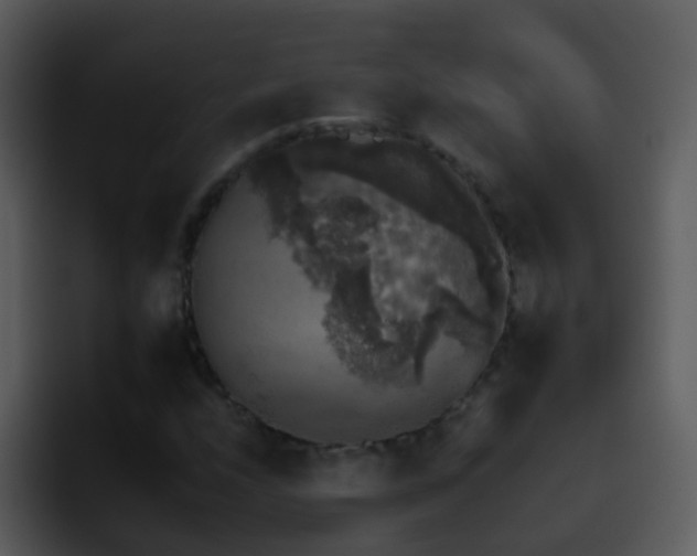 X0000095671208200801081202