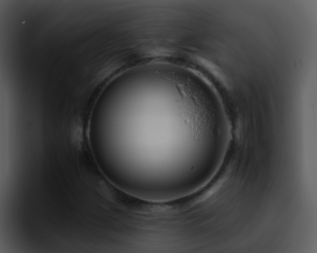 X0000095671209200801081202