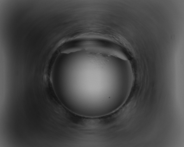 X0000095671210200801081202