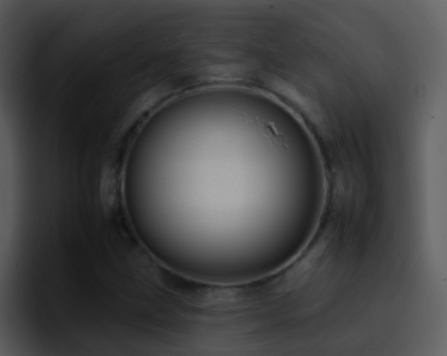 X0000095671211200801081202
