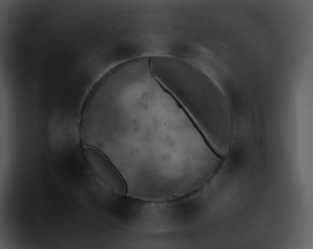 X0000095671212200801081202
