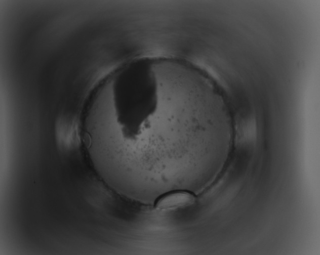 X0000095671213200801081202