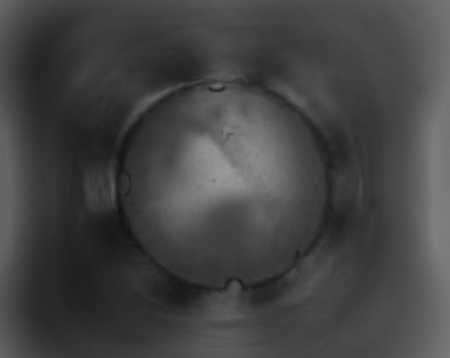X0000095671214200801081202