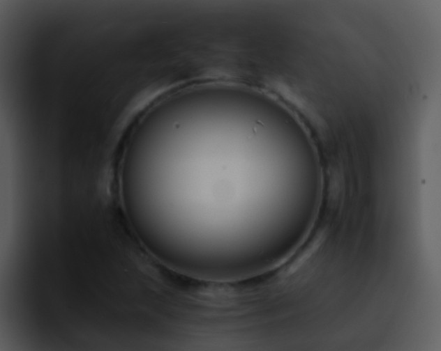 X0000095671215200801081202