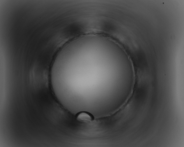 X0000095671217200801081202