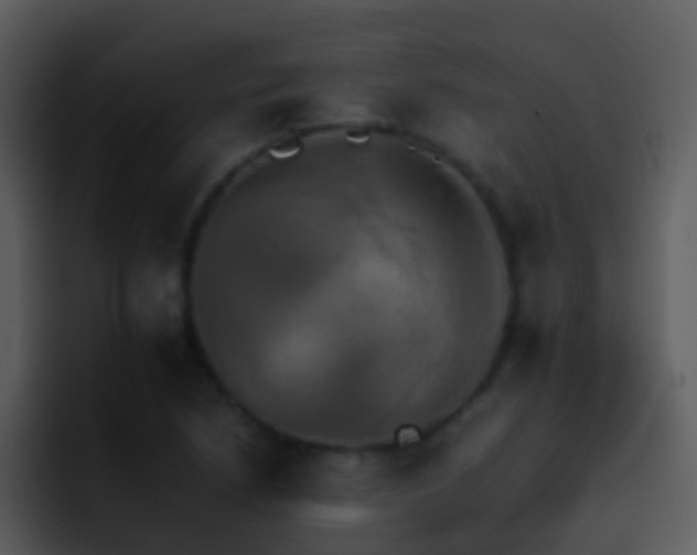 X0000095671218200801081202