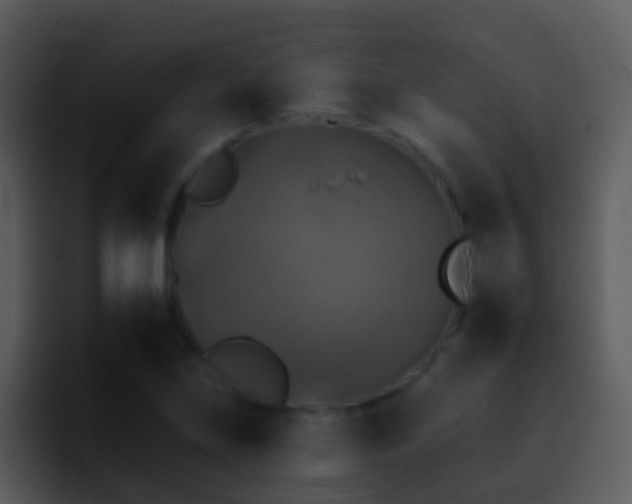 X0000095671219200801081202