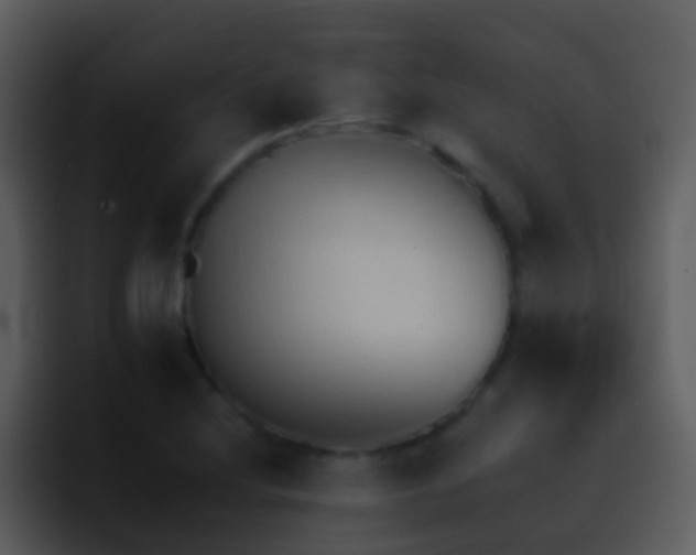 X0000095671220200801081202