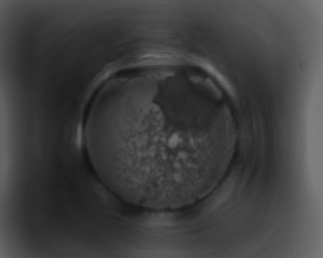 X0000095671221200801081202