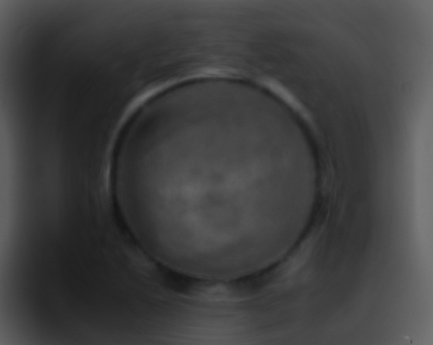 X0000095671222200801081202