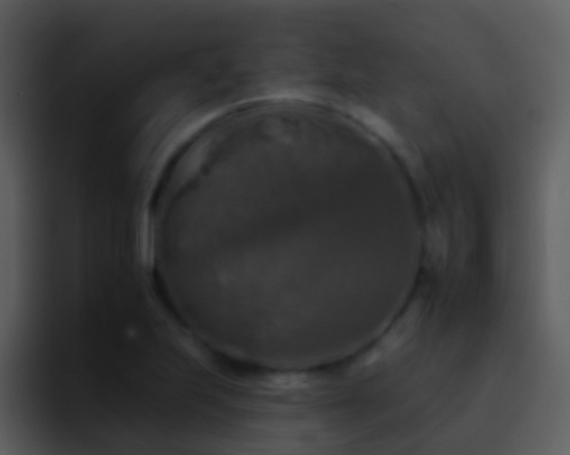 X0000095671223200801081202