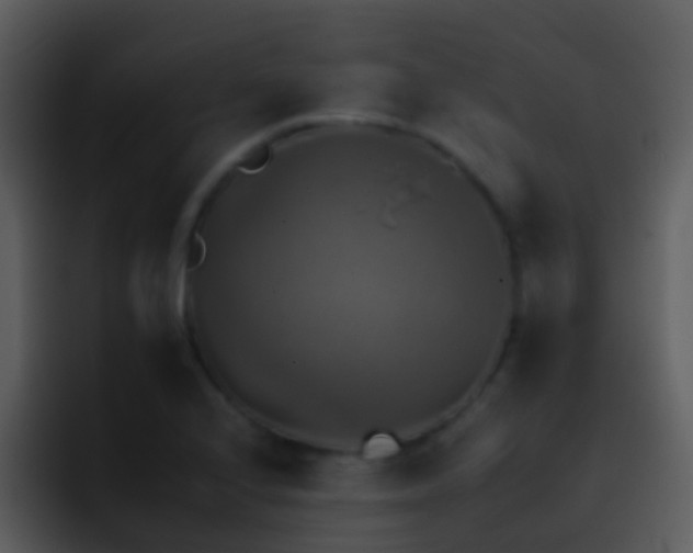 X0000095671224200801081202