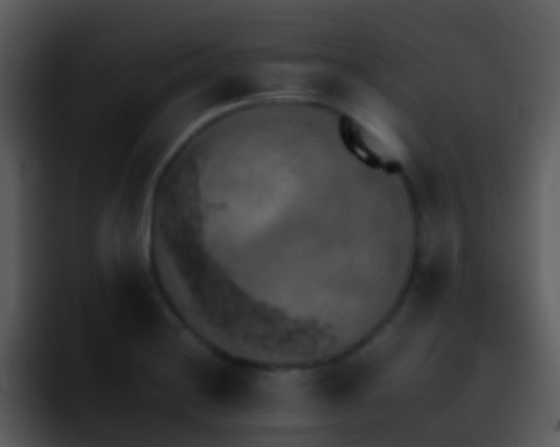 X0000095671228200801081202