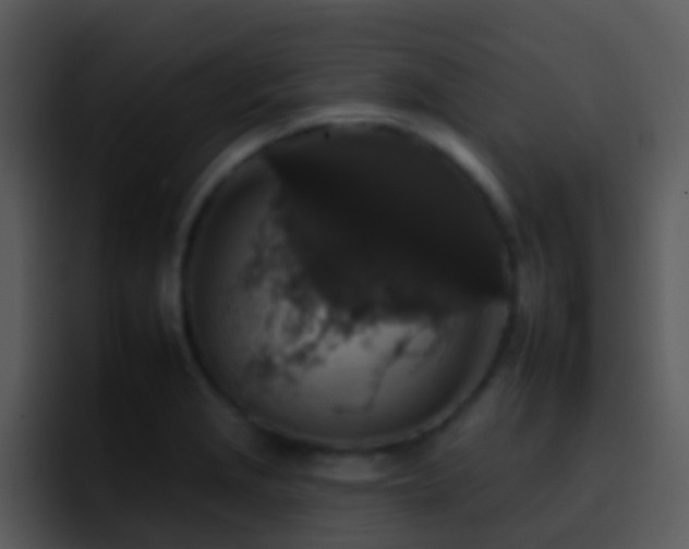 X0000095671229200801081202