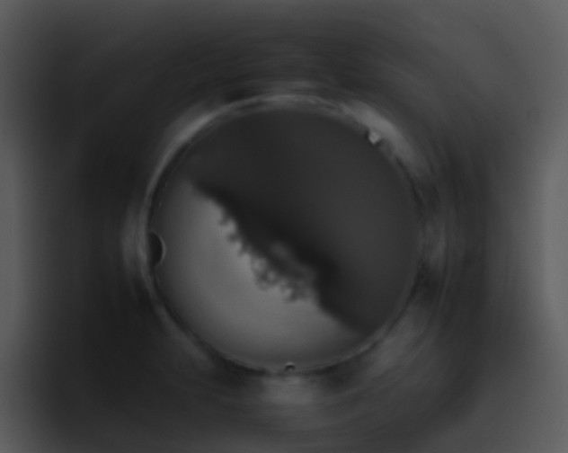 X0000095671231200801081202