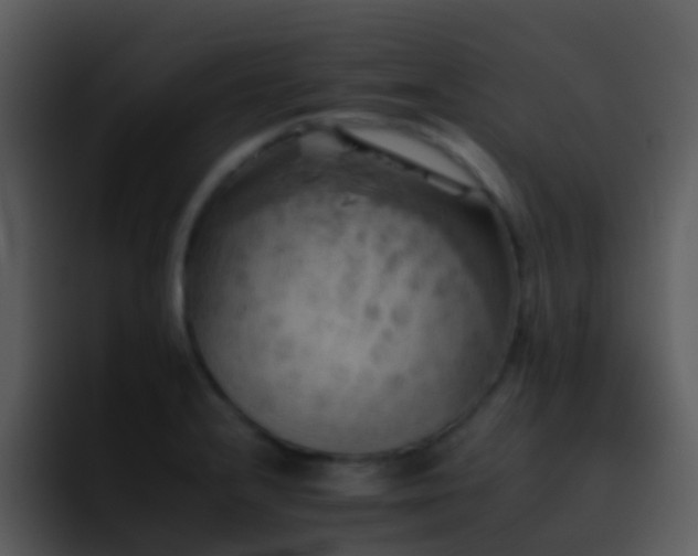 X0000095671232200801081202
