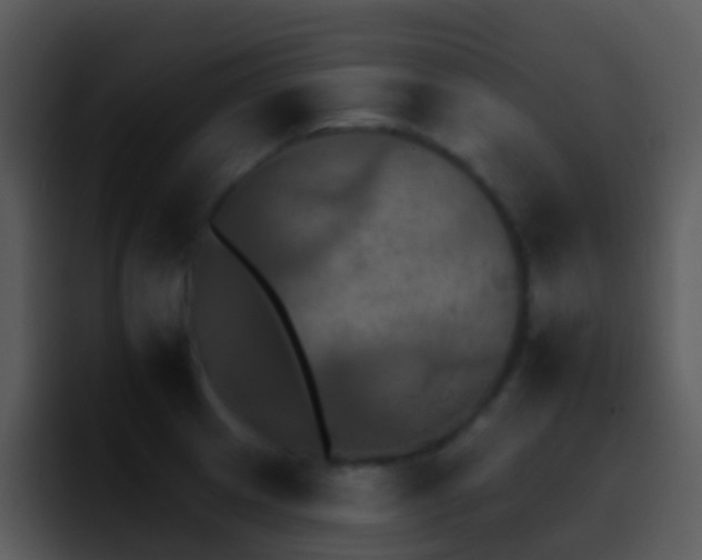 X0000095671233200801081202