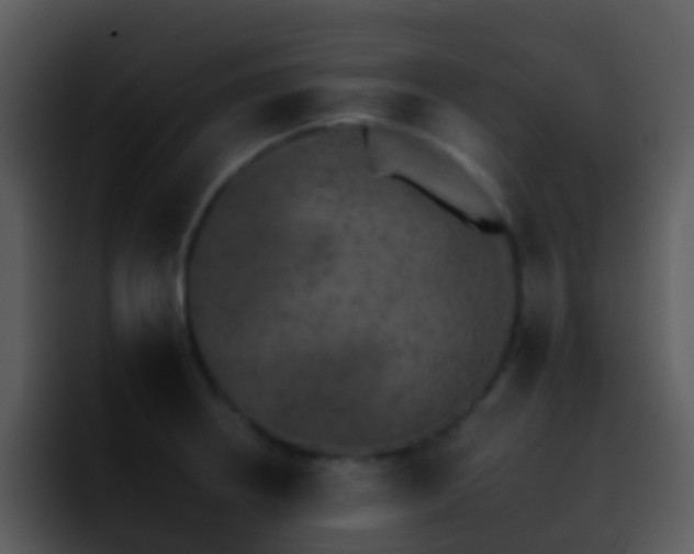 X0000095671234200801081202