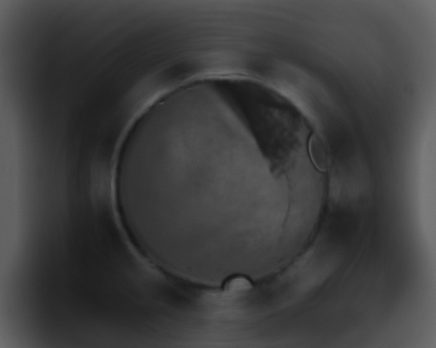 X0000095671237200801081202