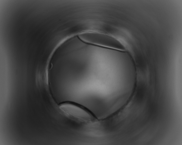 X0000095671238200801081202