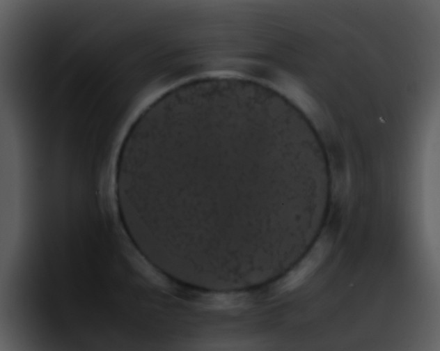 X0000095671240200801081202