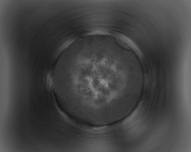 X0000095671241200801081202