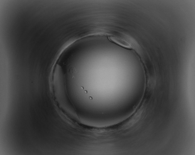 X0000095671242200801081202
