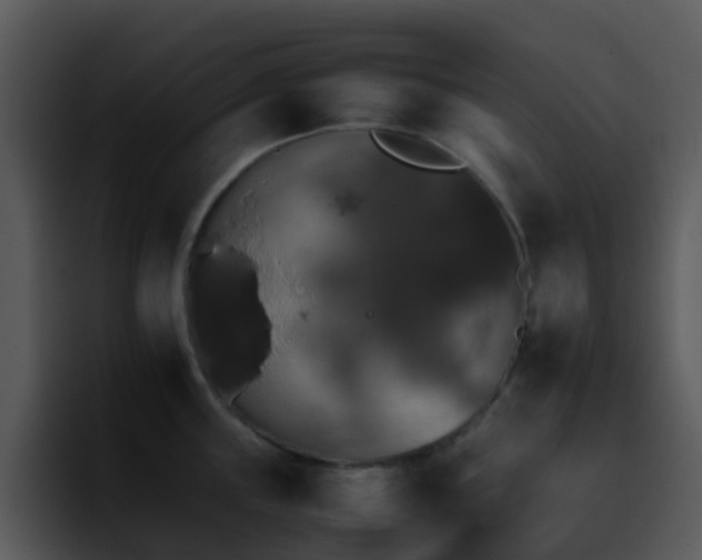 X0000095671243200801081202