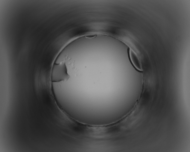 X0000095671244200801081202