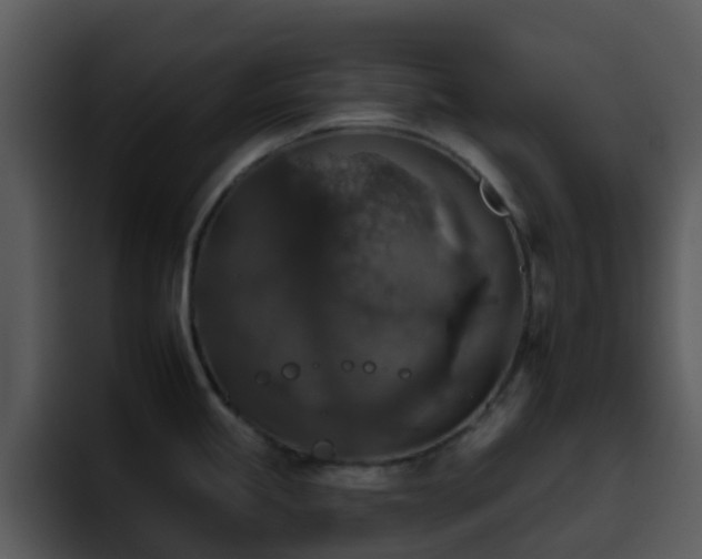 X0000095671245200801081202