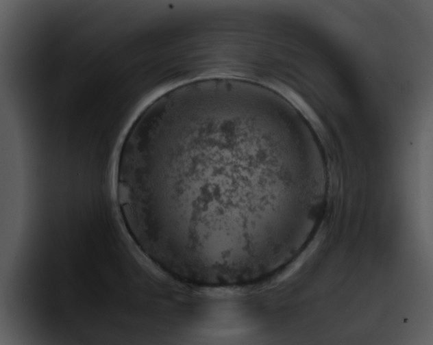 X0000095671246200801081202