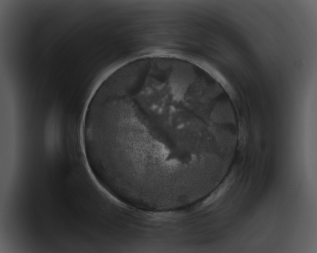X0000095671247200801081202