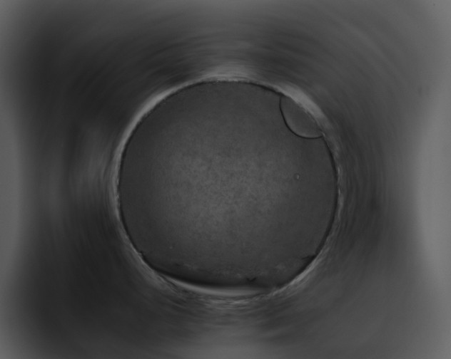 X0000095671248200801081202