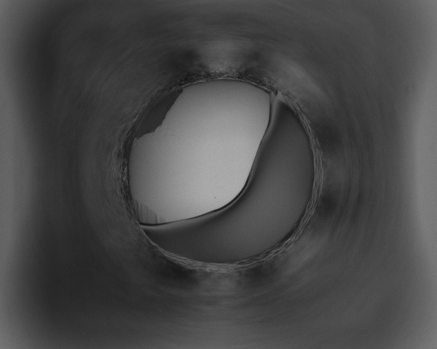 X0000095671249200801081201