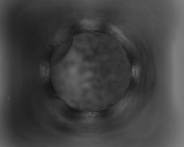 X0000095671251200801081201