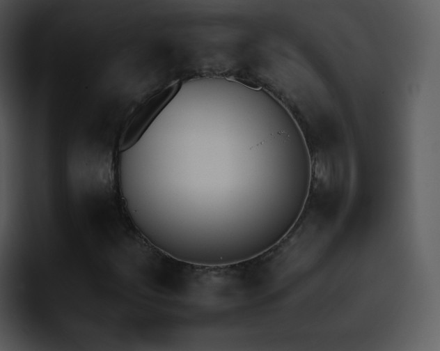X0000095671252200801081201