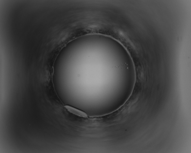 X0000095671253200801081201
