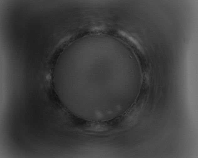 X0000095671254200801081201