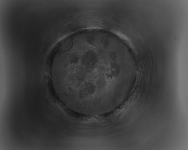X0000095671255200801081201