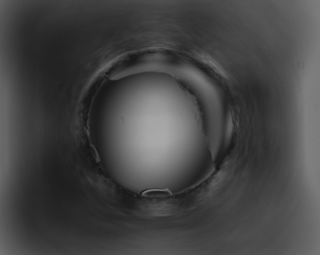 X0000095671256200801081201