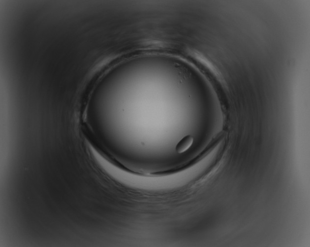 X0000095671259200801081201