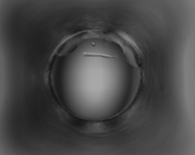 X0000095671260200801081201