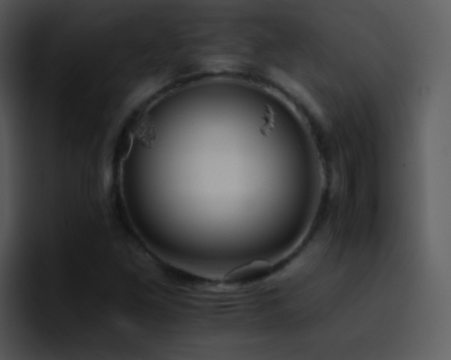 X0000095671261200801081201
