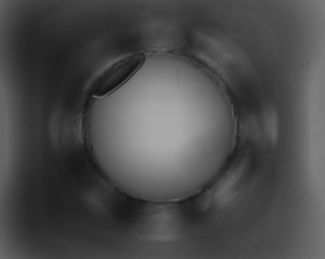 X0000095671262200801081201