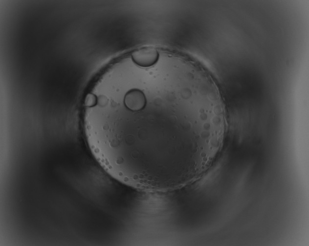 X0000095671263200801081201